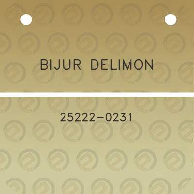 bijur-delimon-25222-0231