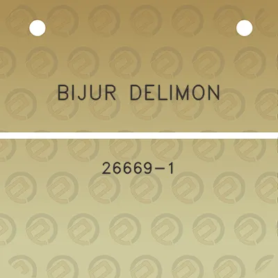 bijur-delimon-26669-1