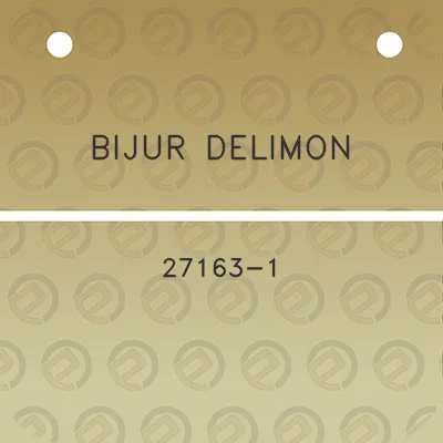 bijur-delimon-27163-1