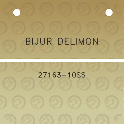 bijur-delimon-27163-10ss