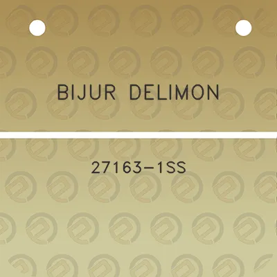 bijur-delimon-27163-1ss