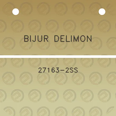 bijur-delimon-27163-2ss