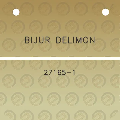 bijur-delimon-27165-1