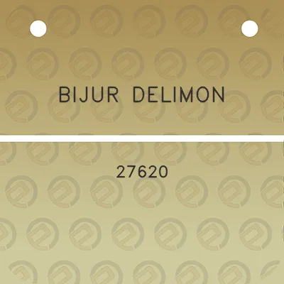 bijur-delimon-27620