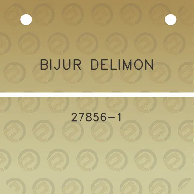 bijur-delimon-27856-1