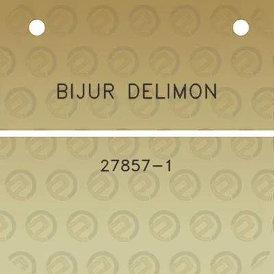 bijur-delimon-27857-1