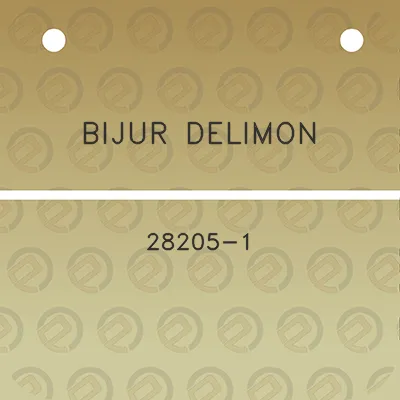 bijur-delimon-28205-1