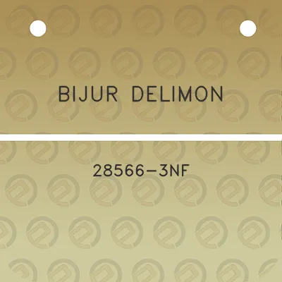 bijur-delimon-28566-3nf