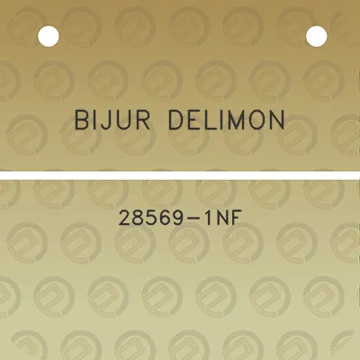 bijur-delimon-28569-1nf