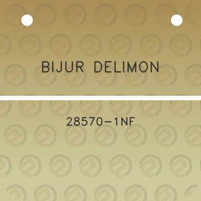 bijur-delimon-28570-1nf