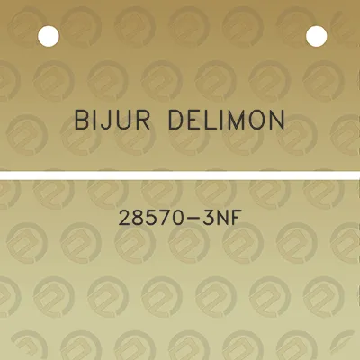 bijur-delimon-28570-3nf