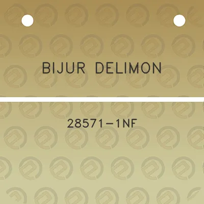 bijur-delimon-28571-1nf