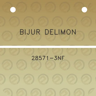 bijur-delimon-28571-3nf