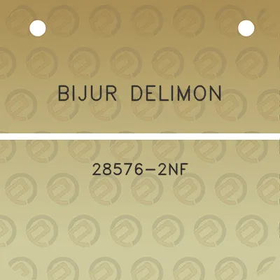 bijur-delimon-28576-2nf