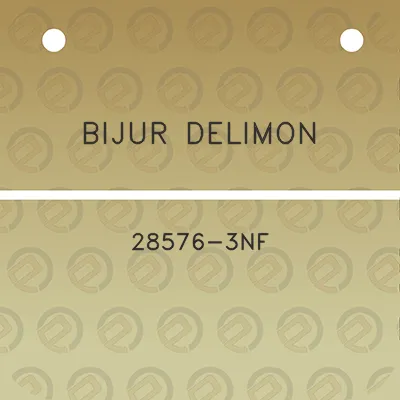 bijur-delimon-28576-3nf