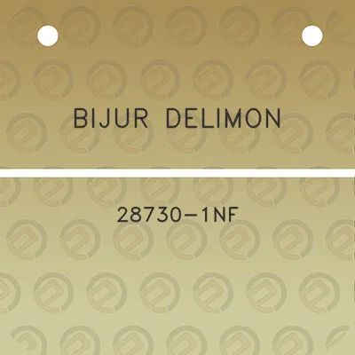 bijur-delimon-28730-1nf