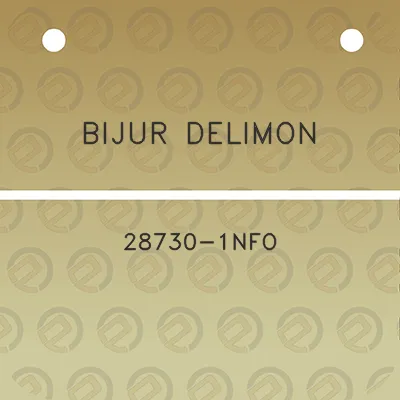 bijur-delimon-28730-1nfo