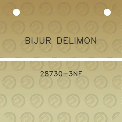 bijur-delimon-28730-3nf