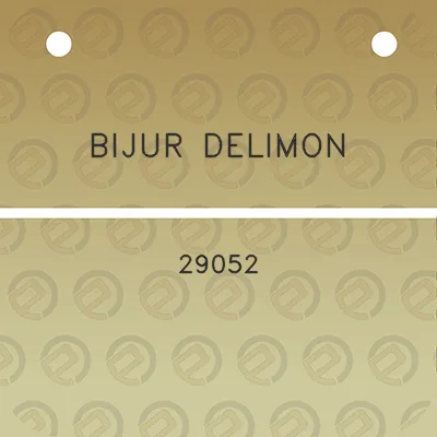 bijur-delimon-29052