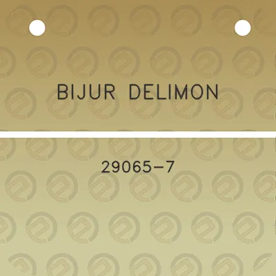 bijur-delimon-29065-7