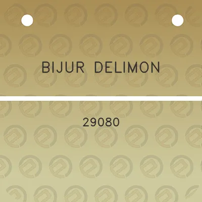 bijur-delimon-29080