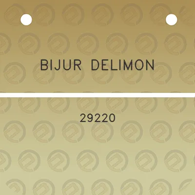 bijur-delimon-29220