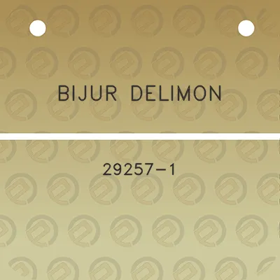 bijur-delimon-29257-1