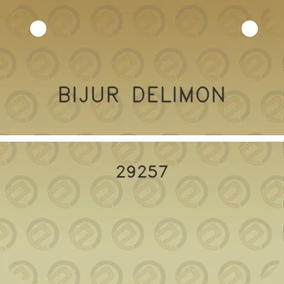 bijur-delimon-29257