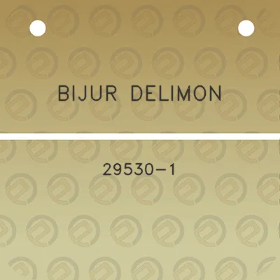 bijur-delimon-29530-1