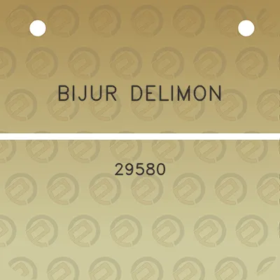 bijur-delimon-29580