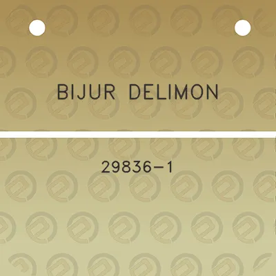 bijur-delimon-29836-1