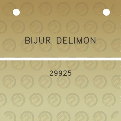 bijur-delimon-29925