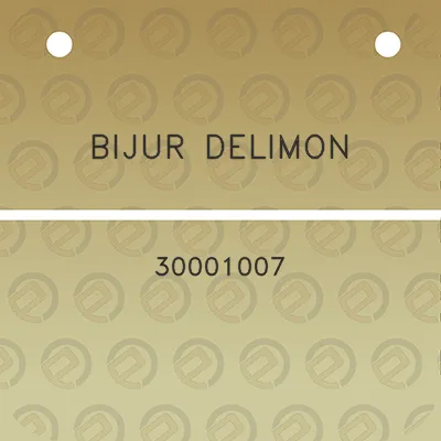 bijur-delimon-30001007