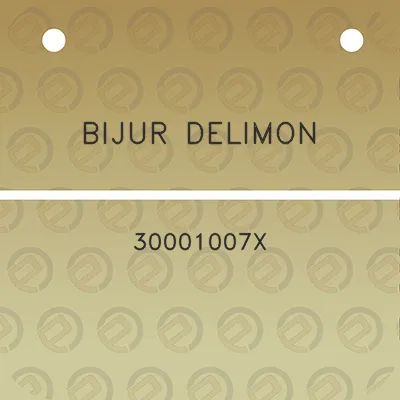 bijur-delimon-30001007x