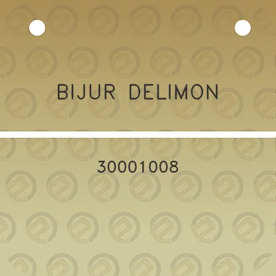 bijur-delimon-30001008