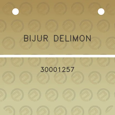 bijur-delimon-30001257