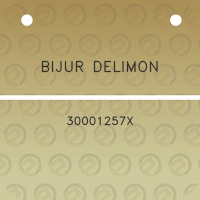 bijur-delimon-30001257x