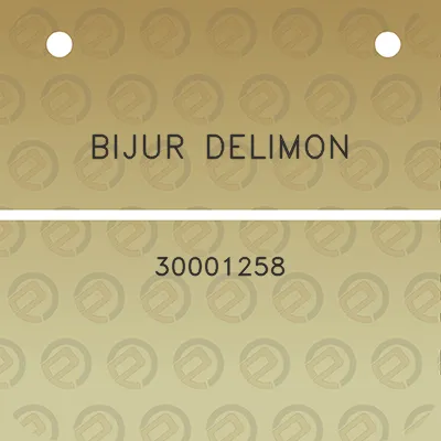 bijur-delimon-30001258