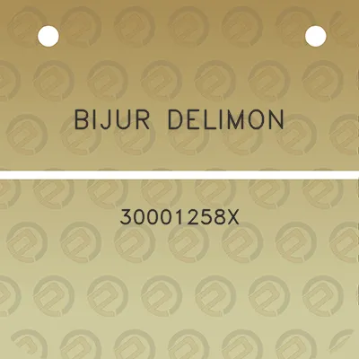 bijur-delimon-30001258x