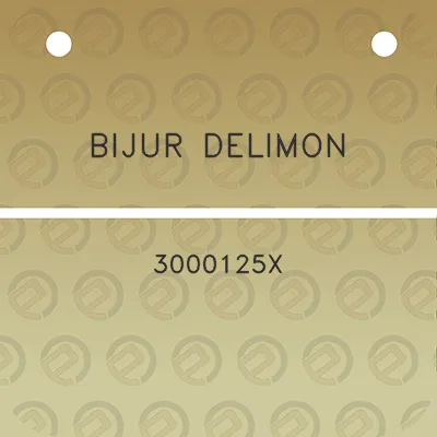 bijur-delimon-3000125x