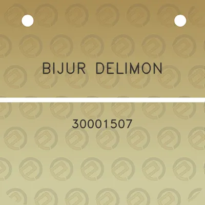 bijur-delimon-30001507