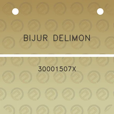 bijur-delimon-30001507x