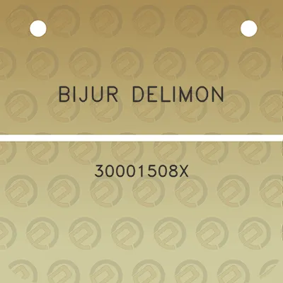 bijur-delimon-30001508x