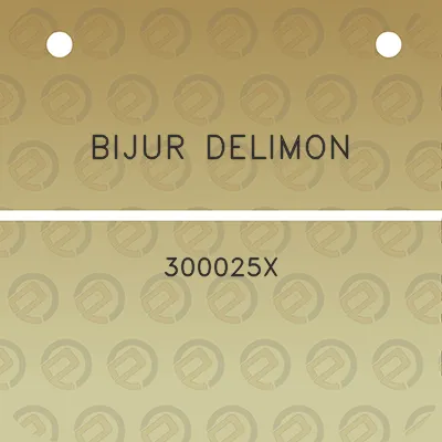 bijur-delimon-300025x