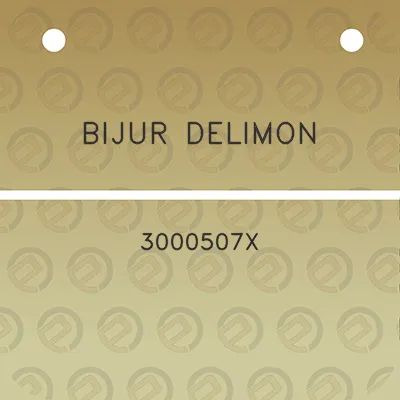 bijur-delimon-3000507x