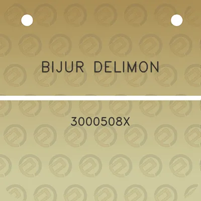 bijur-delimon-3000508x