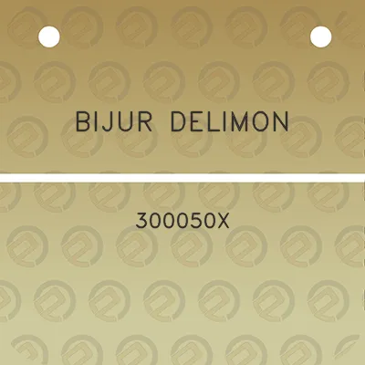 bijur-delimon-300050x