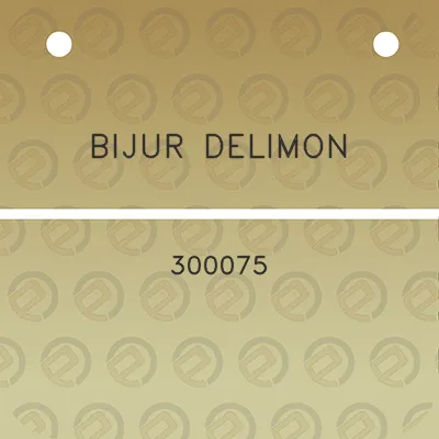 bijur-delimon-300075