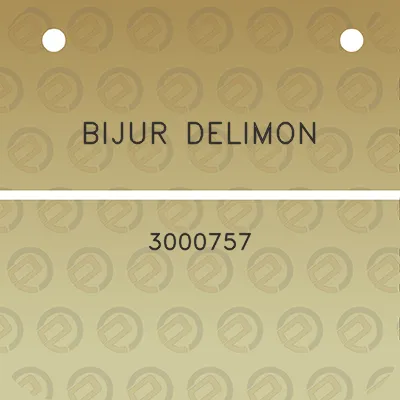 bijur-delimon-3000757