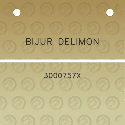 bijur-delimon-3000757x